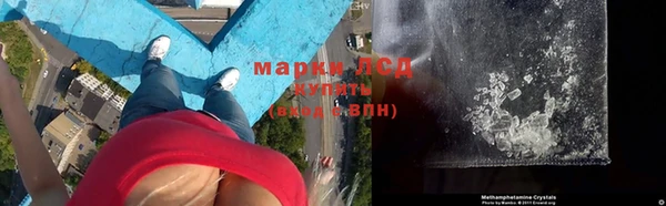 мяу мяу мука Горняк