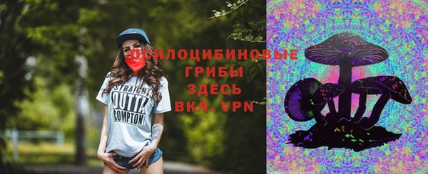 мяу мяу мука Горняк
