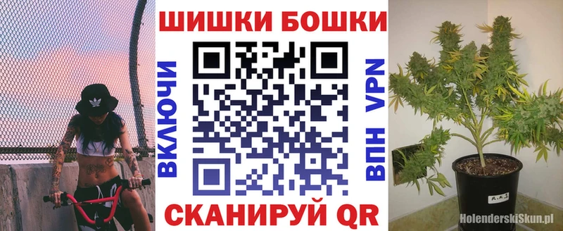 Конопля сатива  Чкаловск 